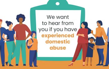 Domestic Abuse Commission Questionnaire
